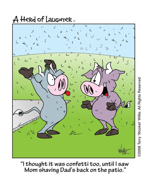 'I thought it was confetti too, until I saw Mom shaving Dad's back on the patio.'