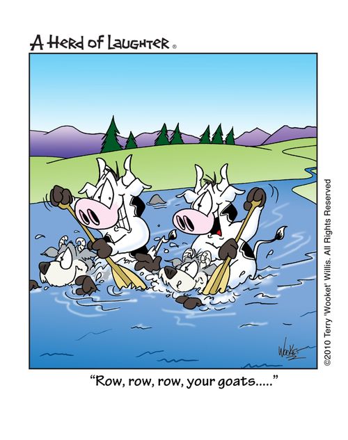 'Row, row, row your goat...'