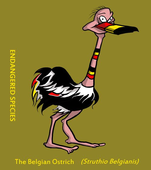 Endangered Species: Belgian Ostrich.