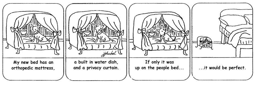 'My new bed has an orthopedic mattress, a built in water dish, and a privacy curtain, If only it was up on the people bed,,,it would be perfect,'