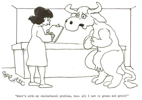 'What's with my cholesterol problem, Doc - all I eat is grass and grain!' 