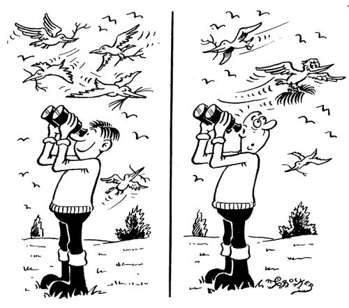 Birdwatcher gets wig pecked off his head.