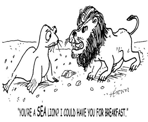 'You're a SEA lion? I could have you for breakfast.'