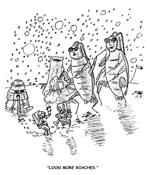 'Look! More roaches.'