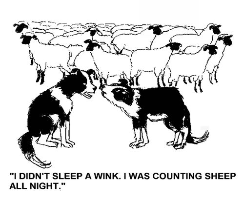 'I didn't sleep a wink. I was counting sheep all night.'