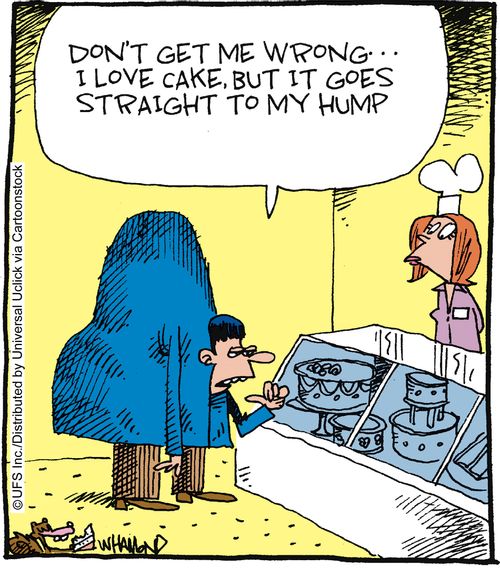 'Don't get me wrong... I love cake, but it goes straight to my hump.'
