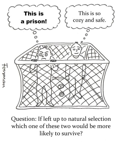 Question: if left up to natural selection which one of these two would be more likely to survive?