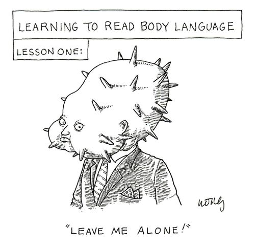 Learning to read body language, lesson one: 'Leave me alone!'