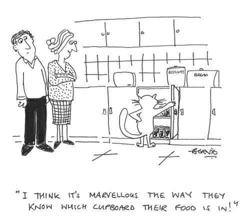 'I think it's marvellous the way they know which cupboard their food is in!'