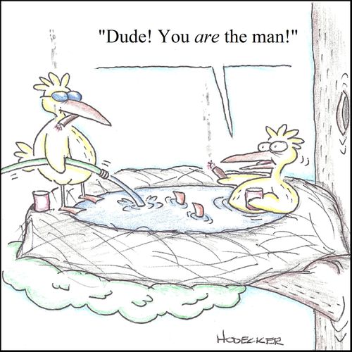 'Dude! You are the man!'