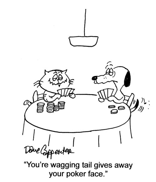 'Your wagging tail gives away your poker face.'
