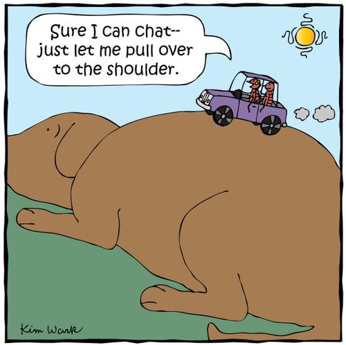 'Sure I can chat - just let me pull over to the shoulder.'