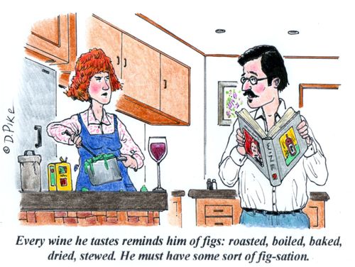 'Every wine he tastes reminds him of figs: roasted, boiled, baked, dried, stewed. He must have some sort of fig-sation.'