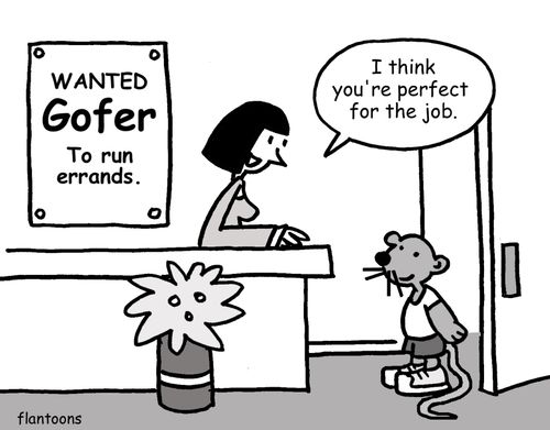 'I think you're perfect for the job.'