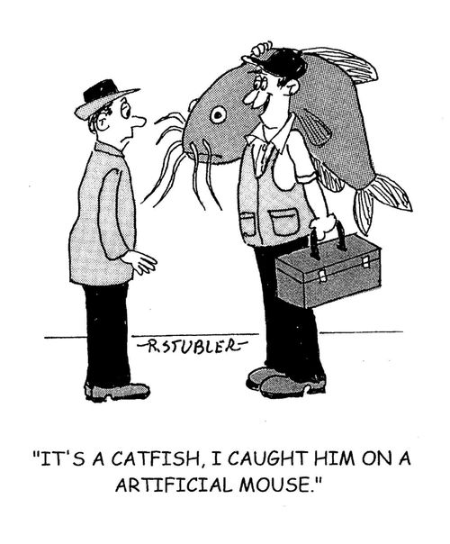 'It's a catfish, I caught him on a artificial mouse.'