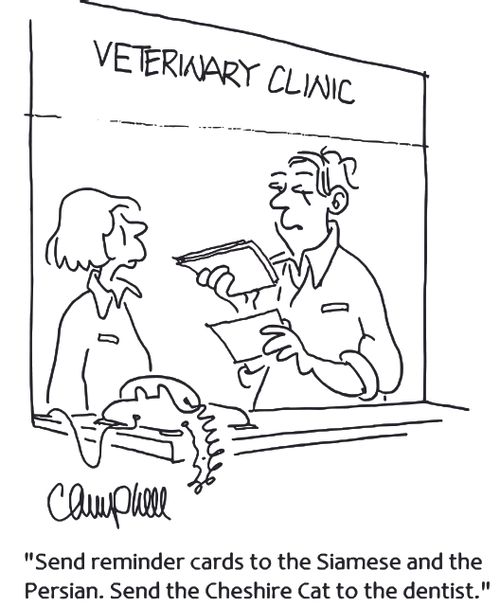 'Send reminder cards to the Siamese and the Persian. Send the Cheshire Cat to the dentist.'