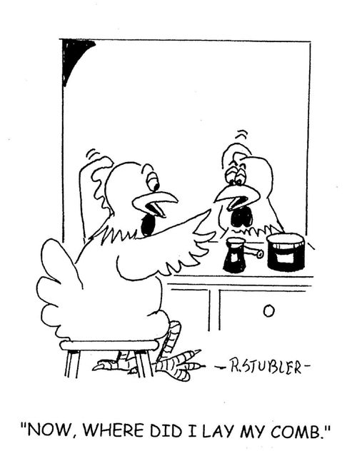 'Now where did I lay my comb?'