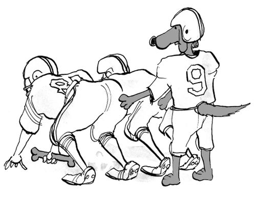 Dog football