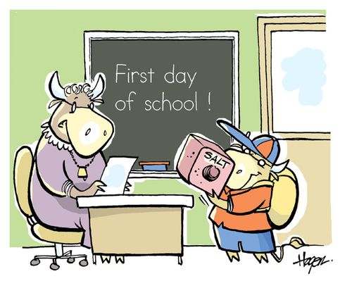 First day of school.
