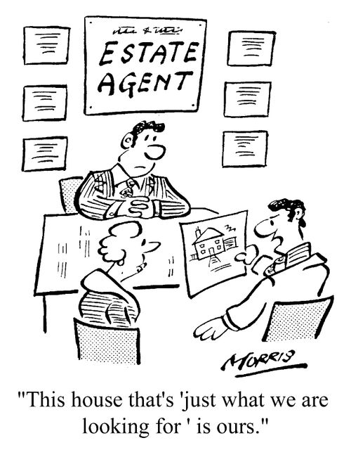 Estate Agent - This house that's 'just what we are looking for' is ours