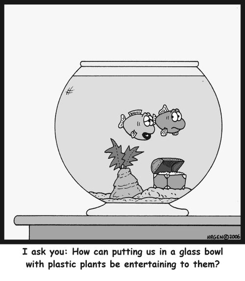 'I ask you: How can putting us in a glass bowl with plastic plants be entertaining to them?'