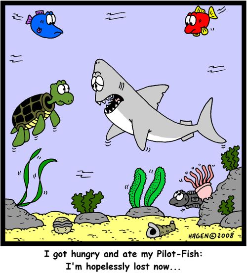'I got hungry and ate my Pilot-Fish: I'm hopelessly lost now...'
