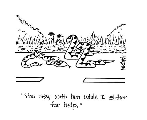 'You stay with him while I slither for help.'