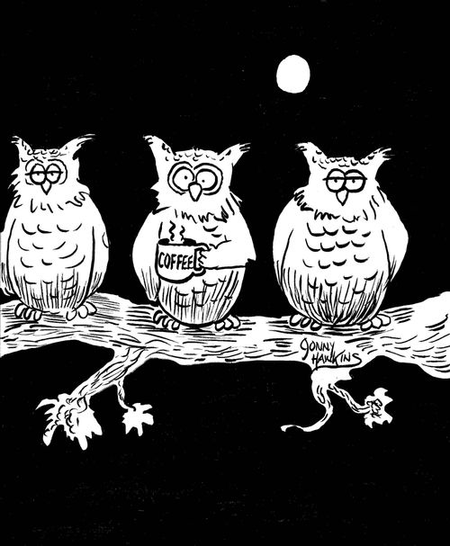 Sleepy owls next to wide awake owl who is drinking coffee.