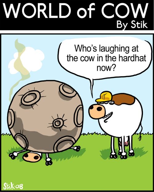 Who's laughing at the cow in a hardhat now?