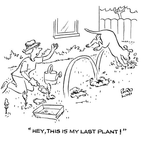 'Hey! This is is my last plant!'