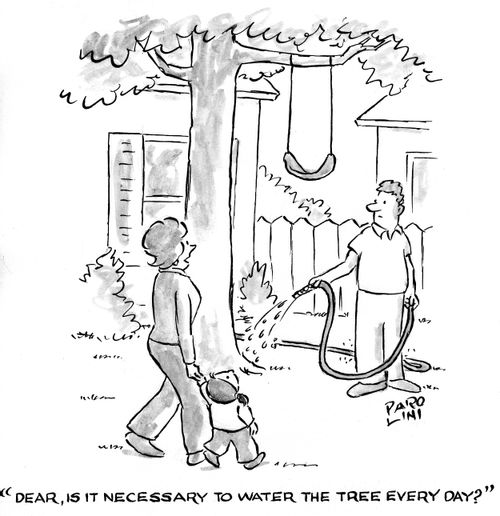'Dear, is it necessary to water the tree everyday?'