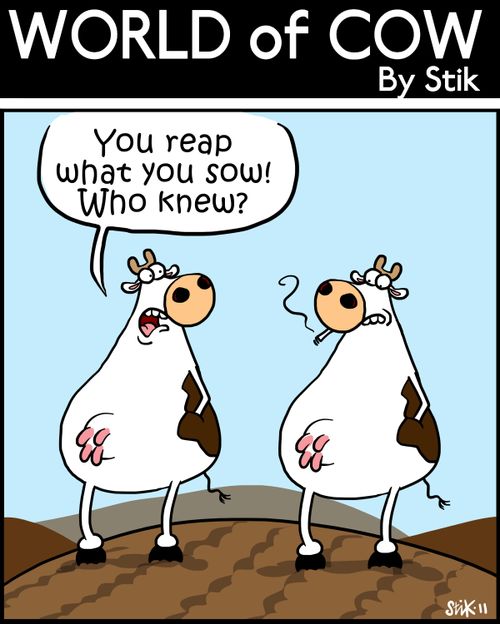 'You reap what you sow! Who knew?'
