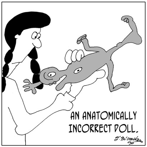 An Anatomically Incorrect Doll.