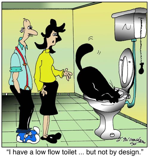 I have a low flow toilet ... but not by design.