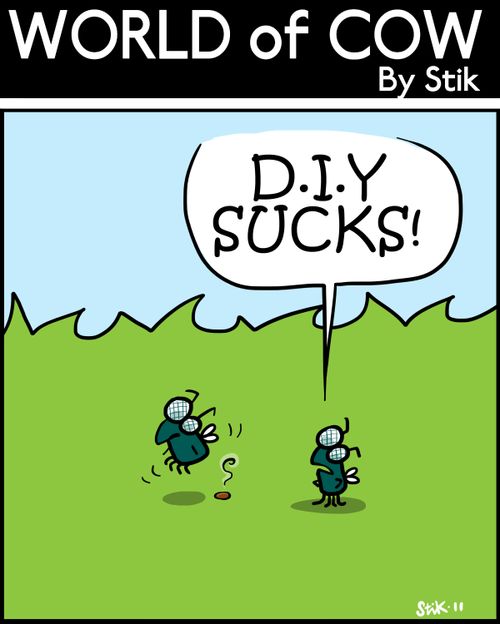D.I.Y SUCKS!