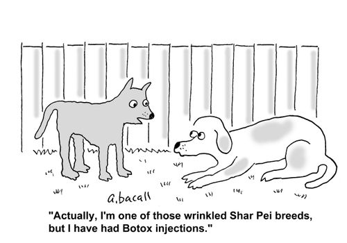 '...I'm one os those wrinkled Shar Pei breeds, but I had Botox injections.'