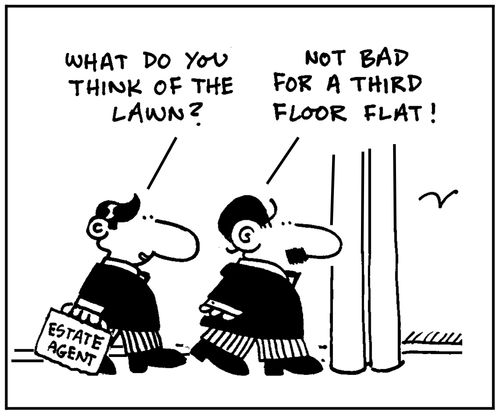'What do you think of the lawn?'