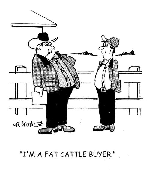 'I'm a fat cattle buyer.'