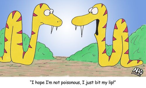 A snake bites his lip - 'I hope I'm not poisonous, I just bit my lip!'