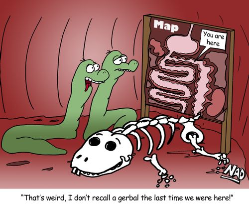 'That's weird, I don't recall a gerbal the last time we were here!'