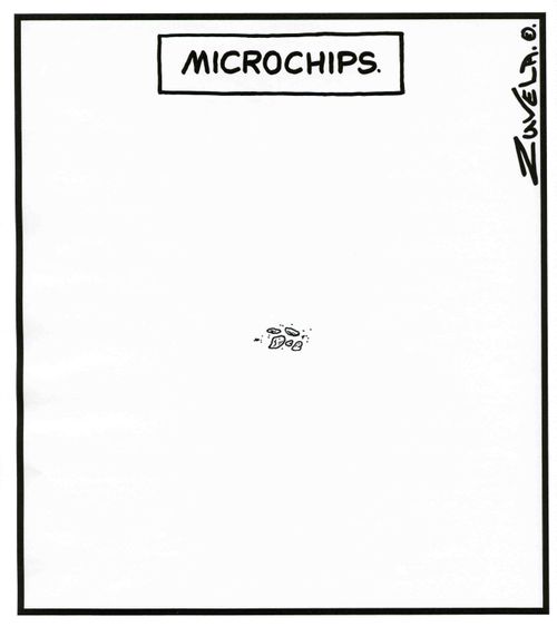 Microchips.