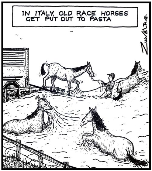 In Italy,old race horses get put out to pasta.