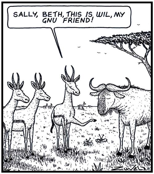 Male Springbok: 'Sally,Beth,this is Will, my Gnu friend' 