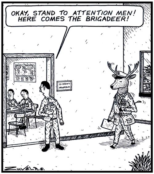 Army PR: 'Okay,stand to attention men! Here comes the Brigadeer!'