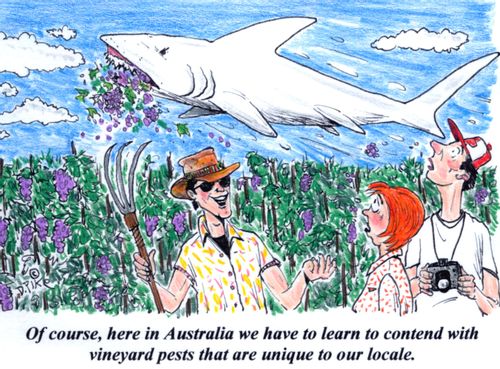 'Of course, here in Australia we have to learn to contend with vineyard pests that are unique to our locale.'
