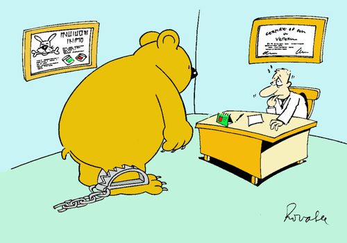 Bear in veterinary practice.