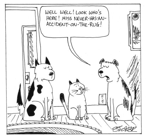 'Well well! Look who's here! Miss never-has-an-accident-on-the-rug!'