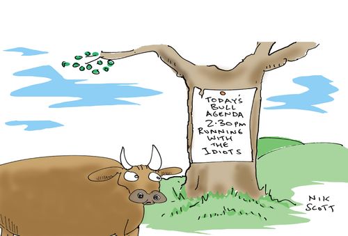 Pamplona bull instructions - Running with the Idiots.