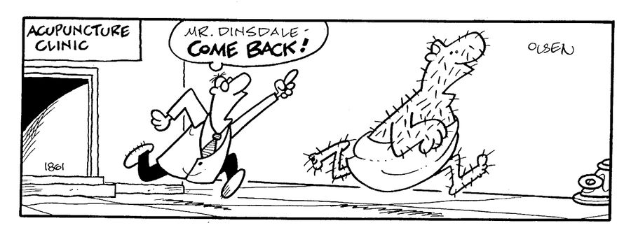"Mr. Dinsdale - come back!"
