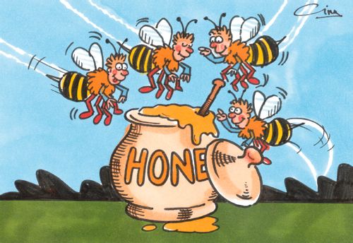 Bees to a honey pot